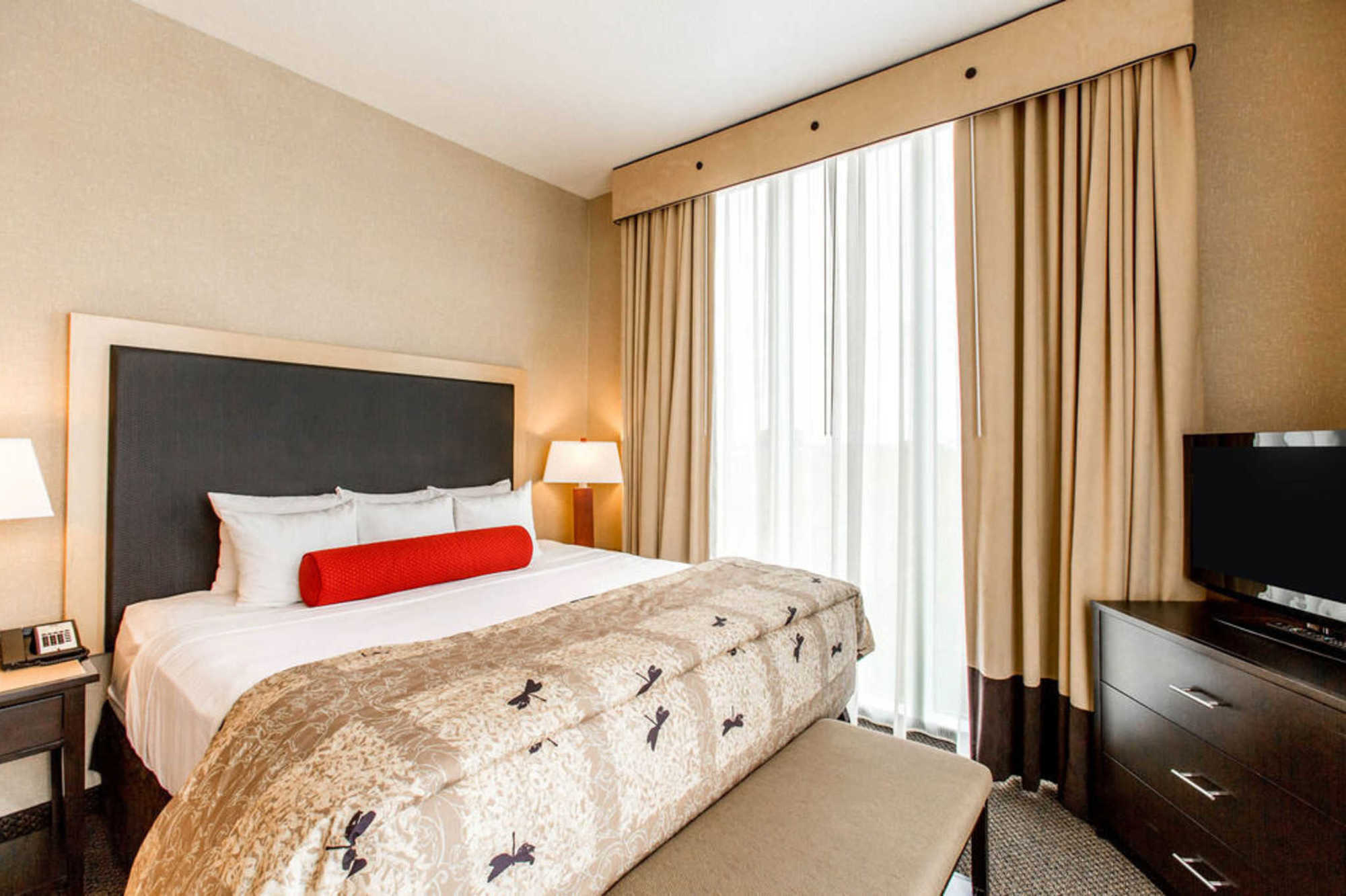 Springhill Suites By Marriott Roanoke Room photo