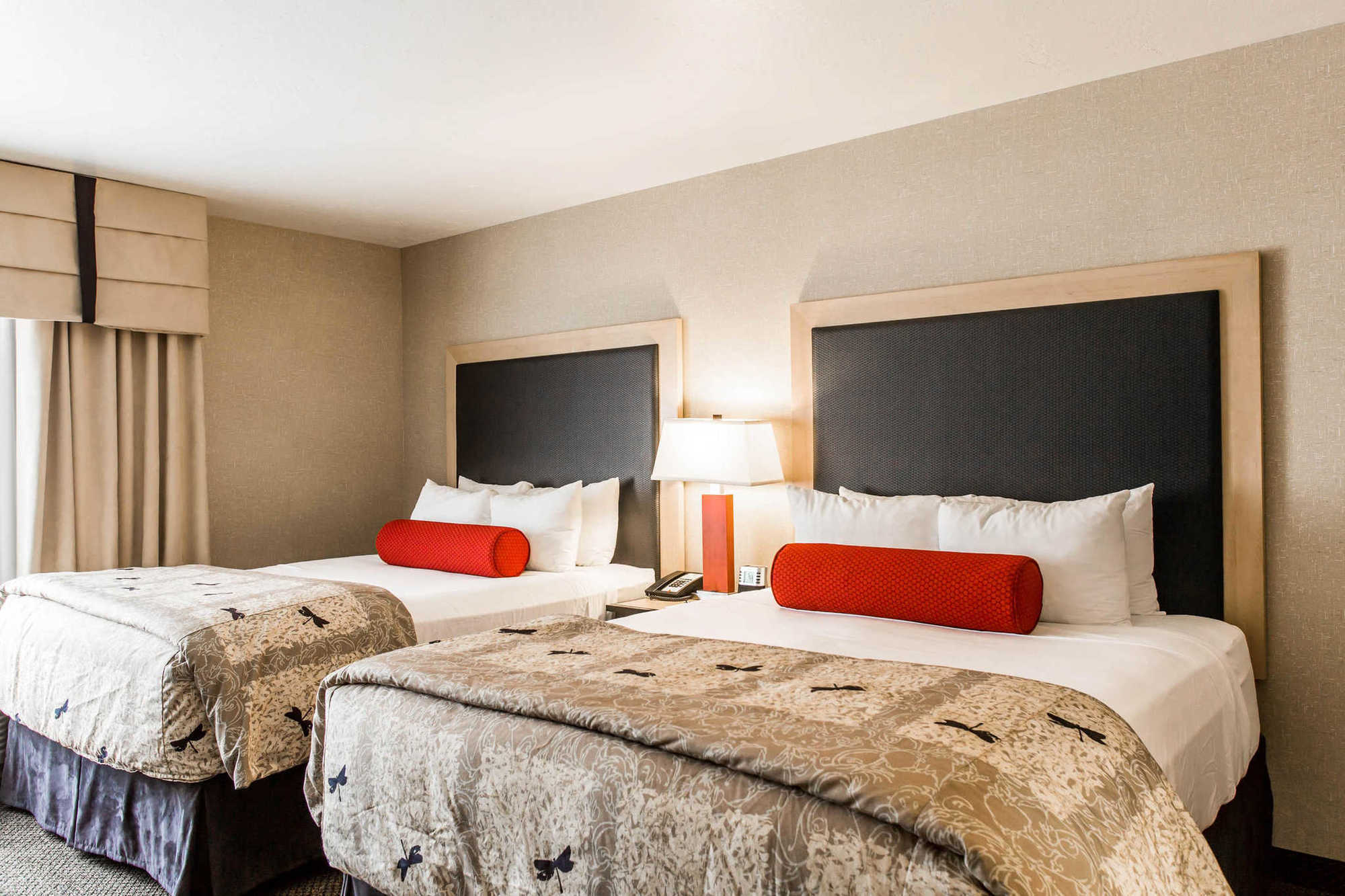 Springhill Suites By Marriott Roanoke Room photo