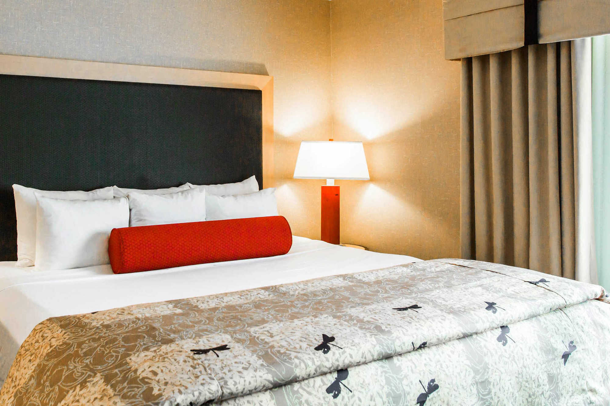 Springhill Suites By Marriott Roanoke Room photo