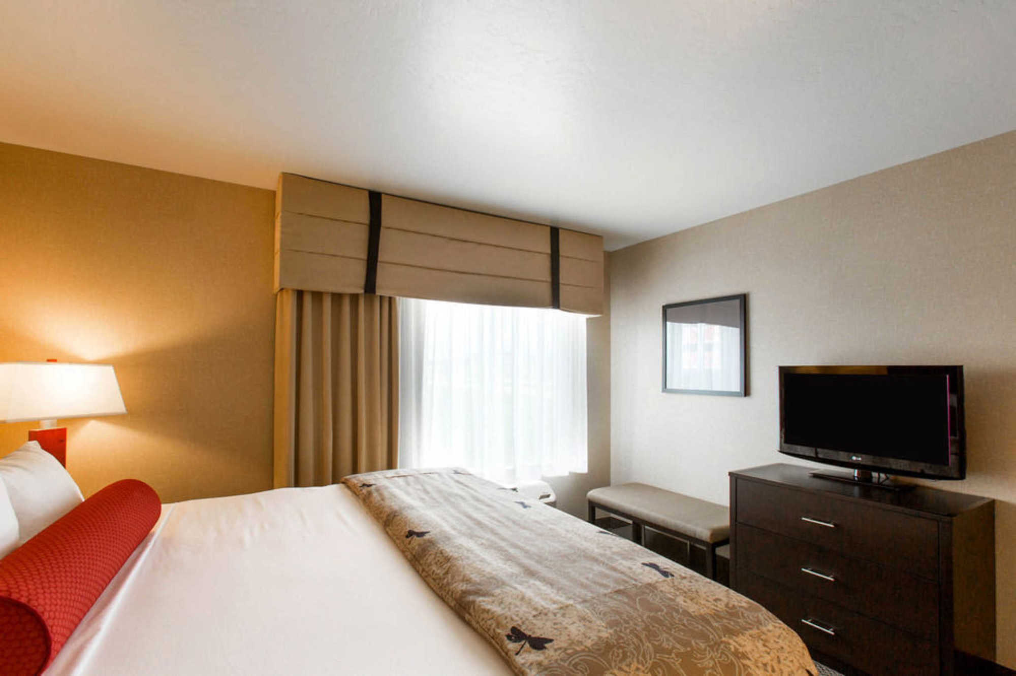 Springhill Suites By Marriott Roanoke Room photo