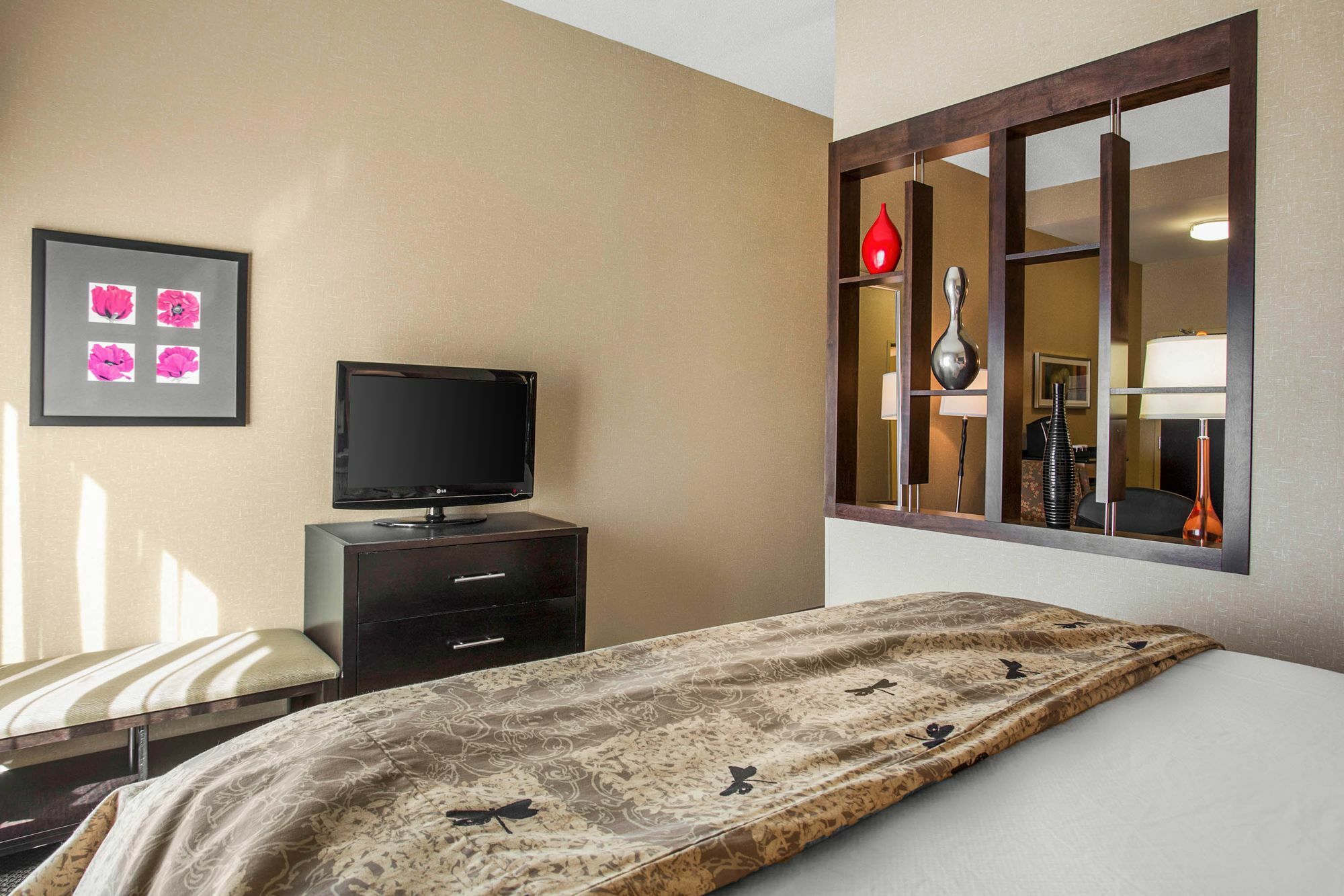 Springhill Suites By Marriott Roanoke Exterior photo