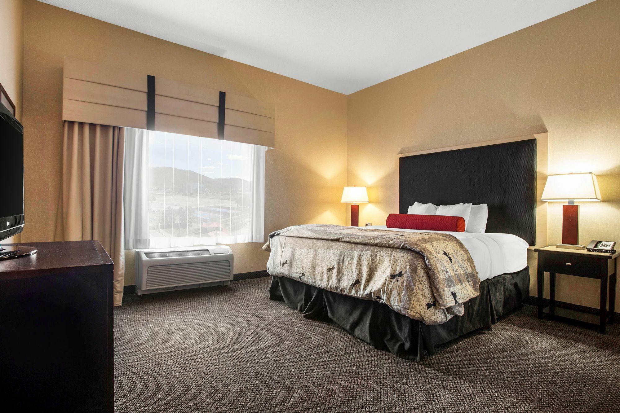 Springhill Suites By Marriott Roanoke Exterior photo