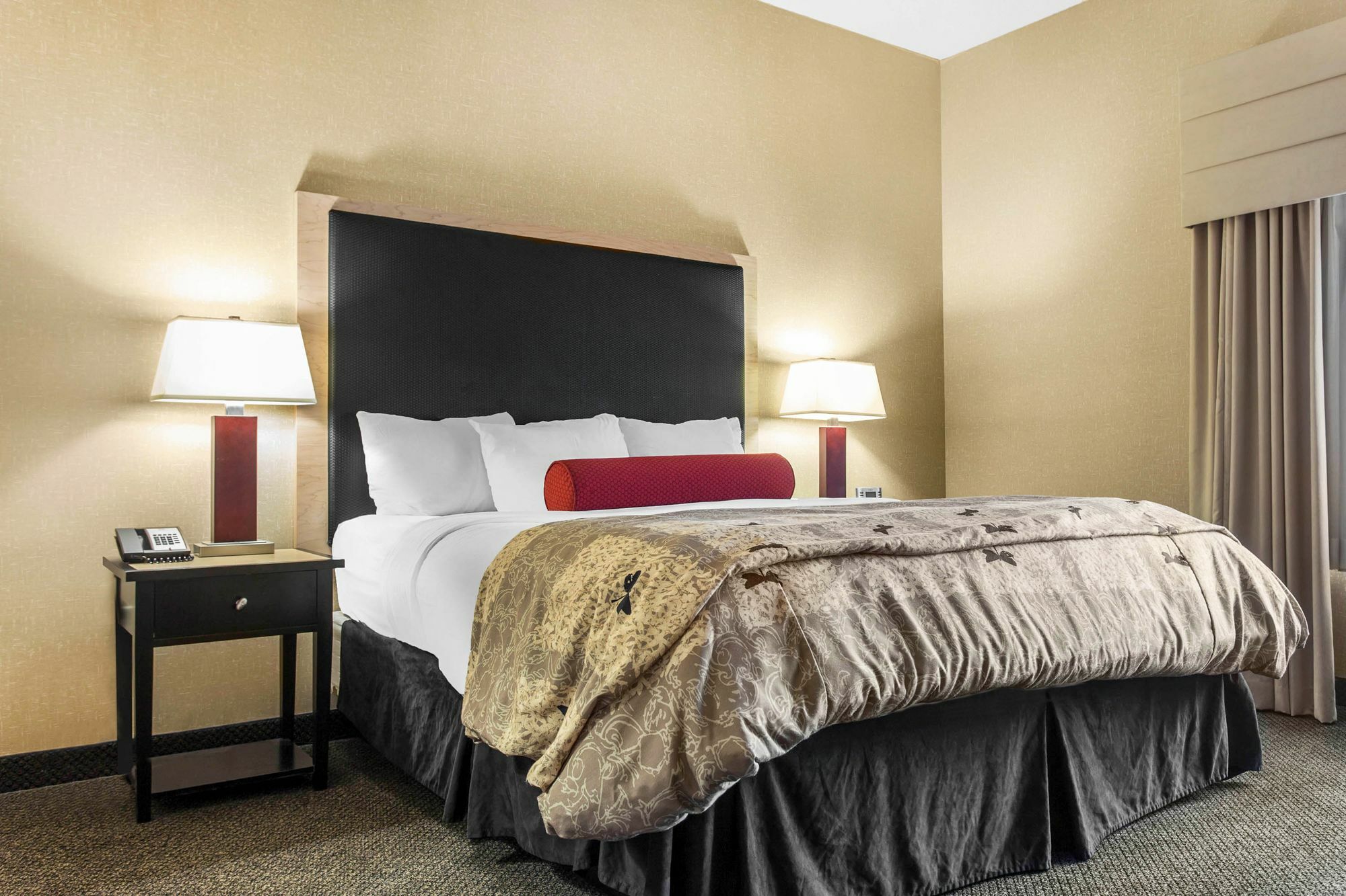 Springhill Suites By Marriott Roanoke Exterior photo