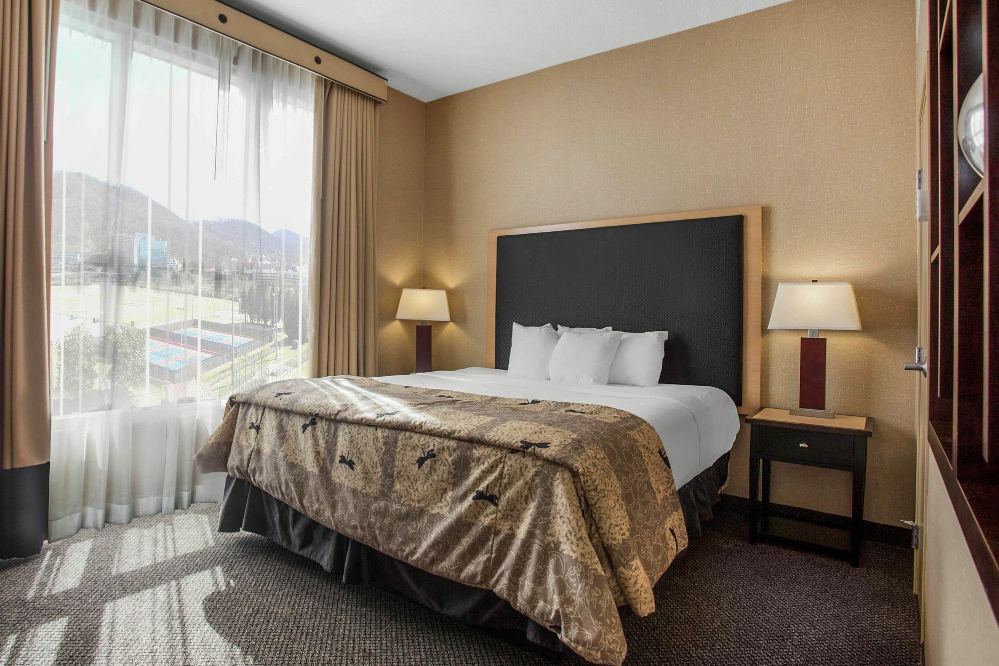 Springhill Suites By Marriott Roanoke Exterior photo