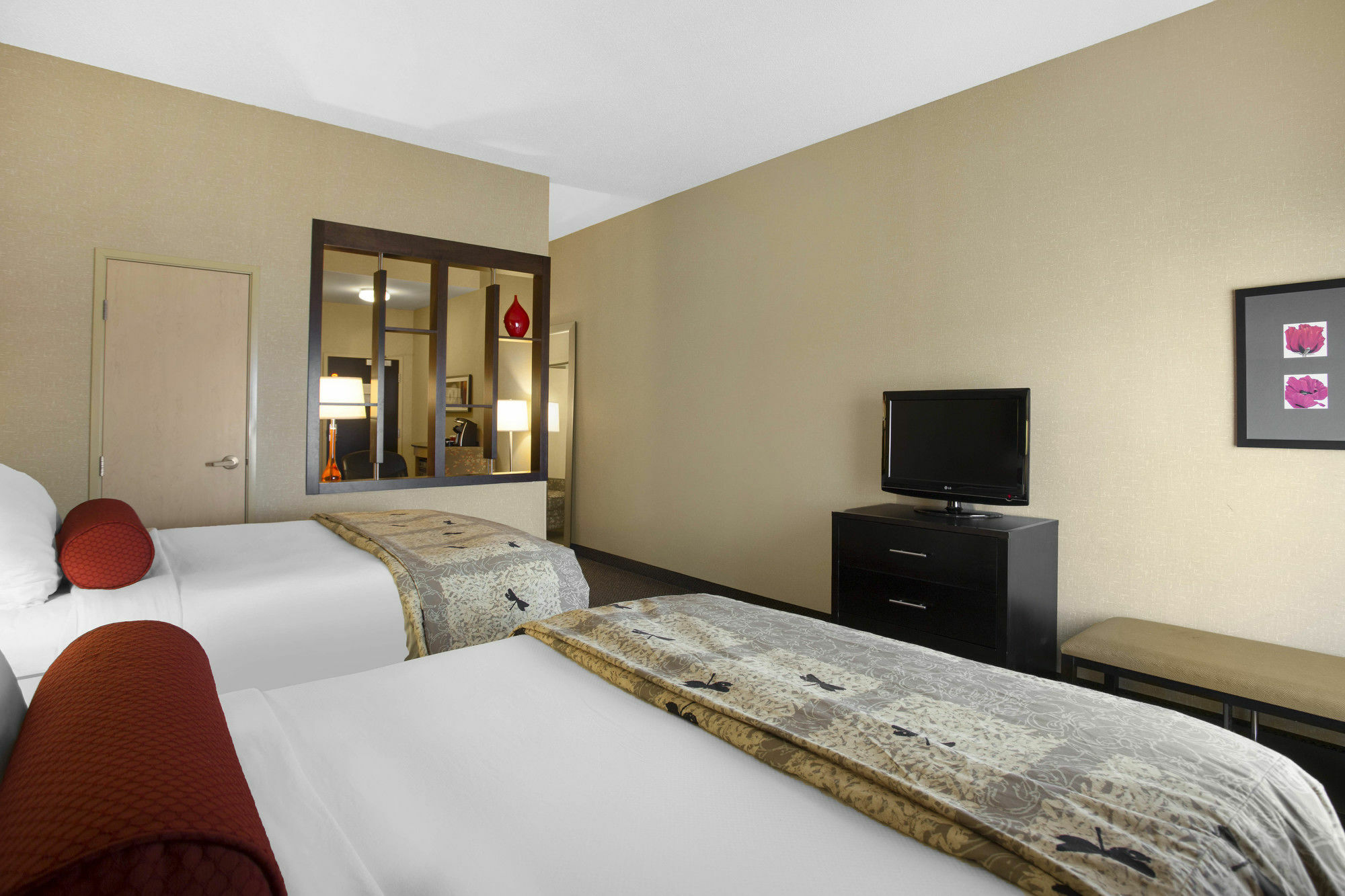 Springhill Suites By Marriott Roanoke Exterior photo