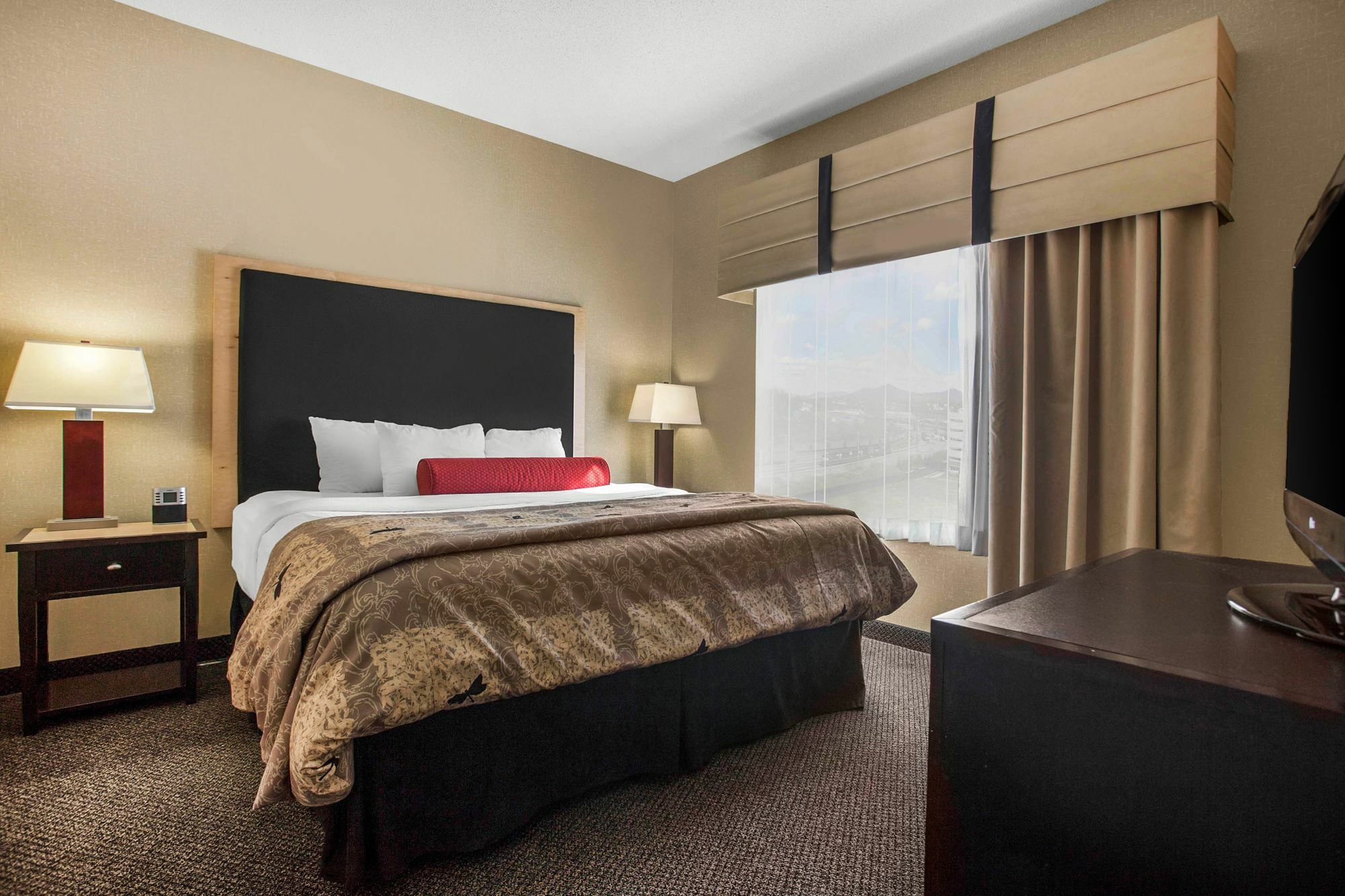 Springhill Suites By Marriott Roanoke Exterior photo