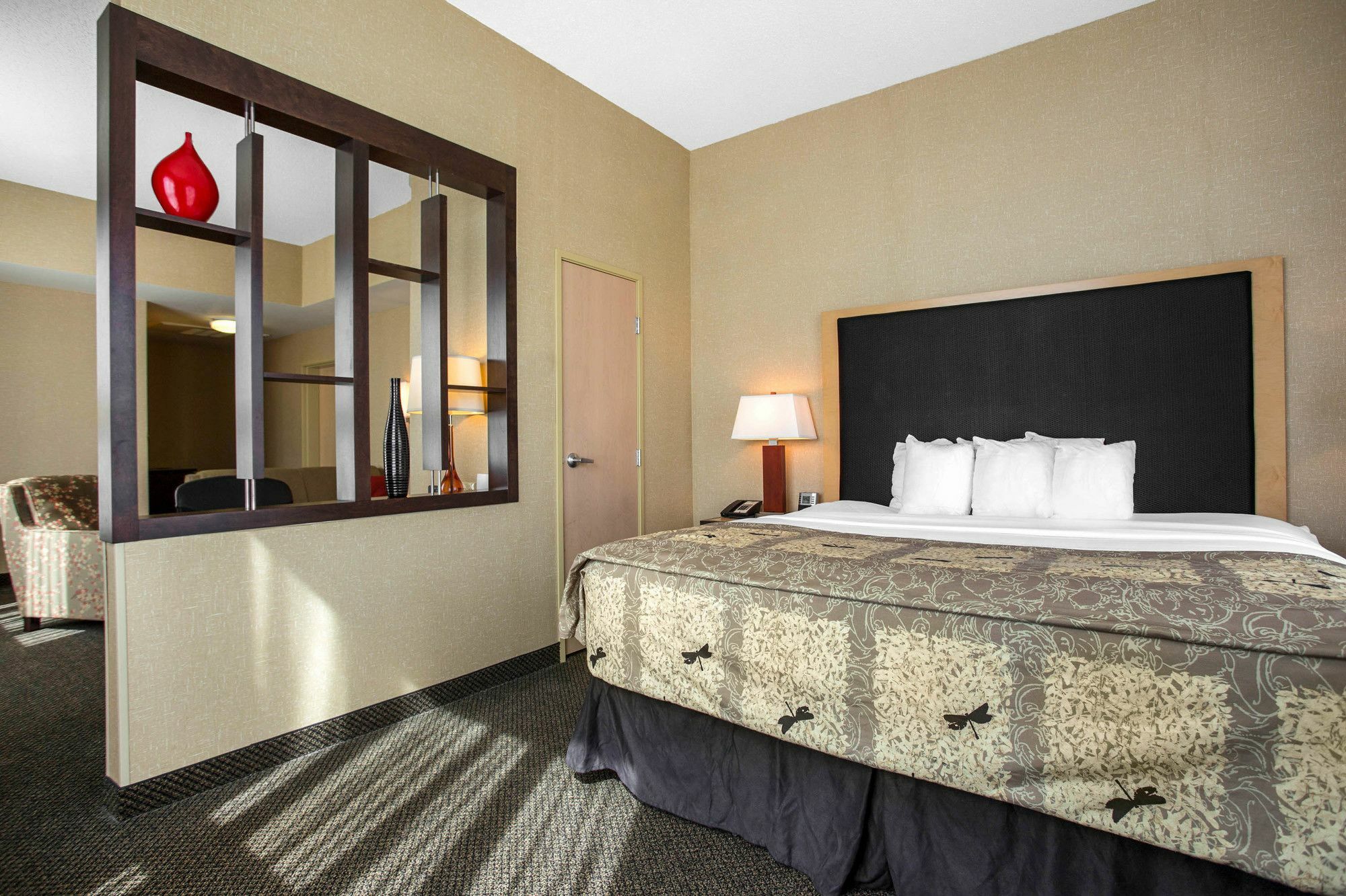 Springhill Suites By Marriott Roanoke Exterior photo