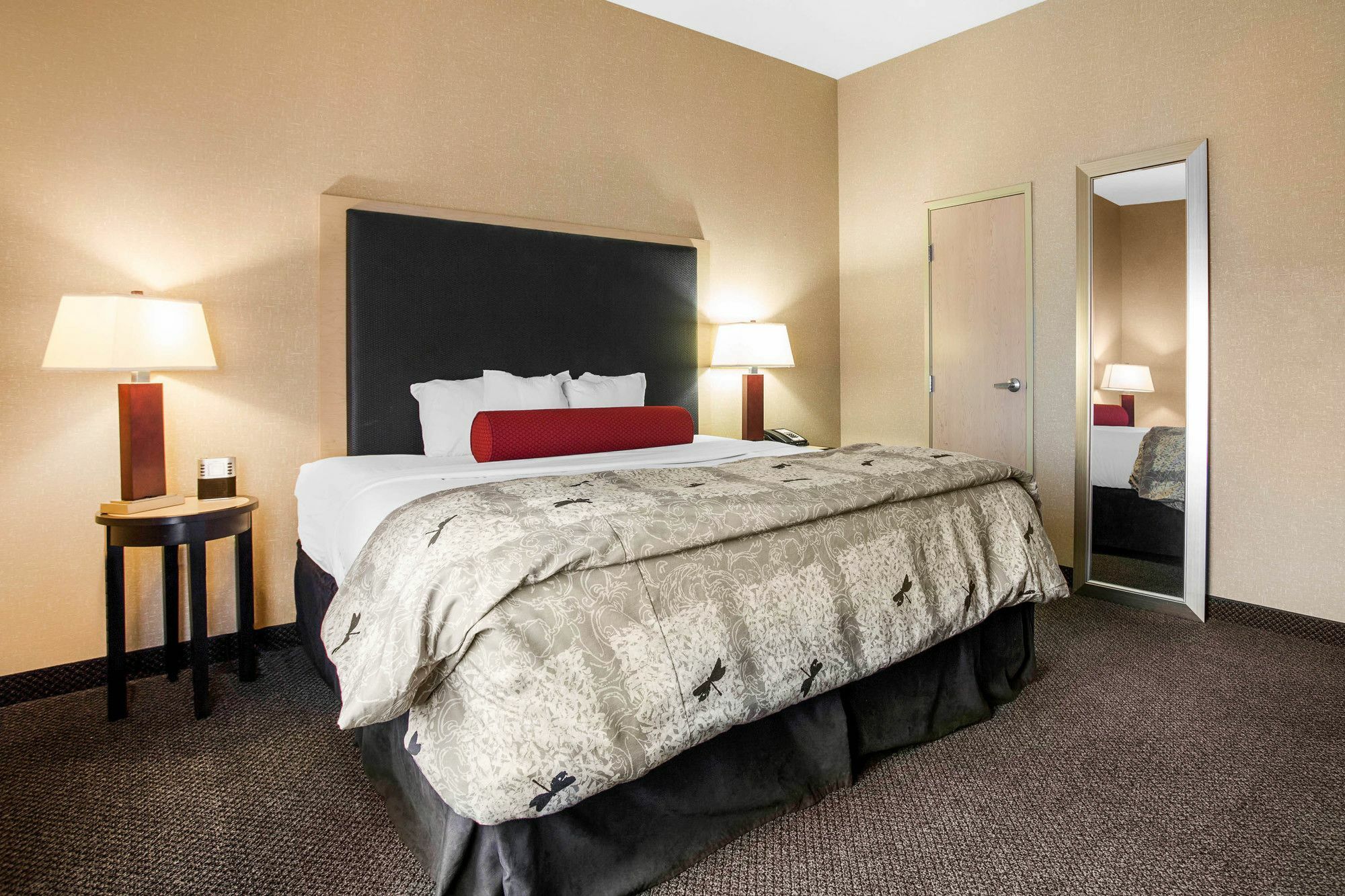 Springhill Suites By Marriott Roanoke Exterior photo